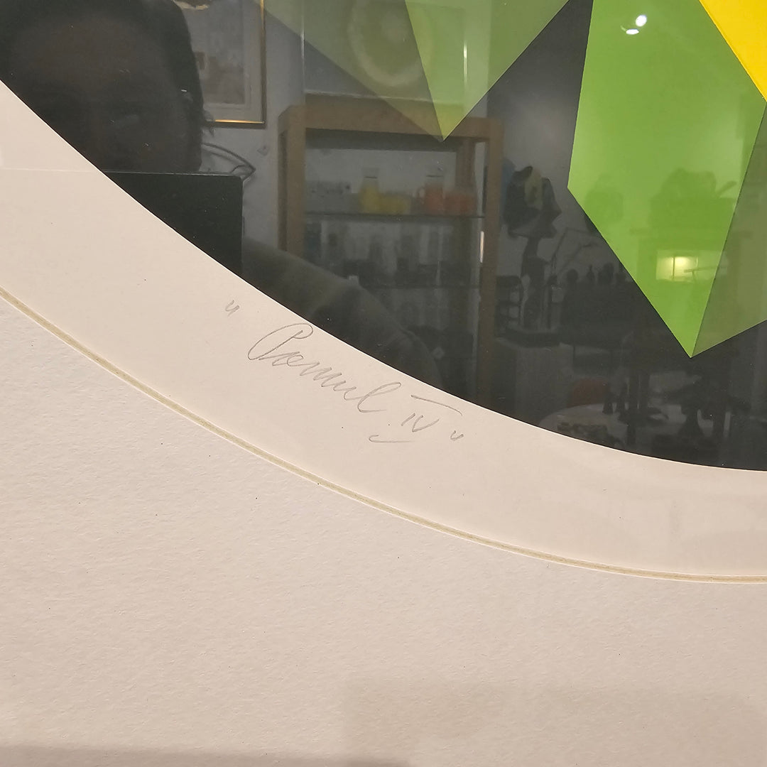 'Pamul IV' by Marko Spalatin