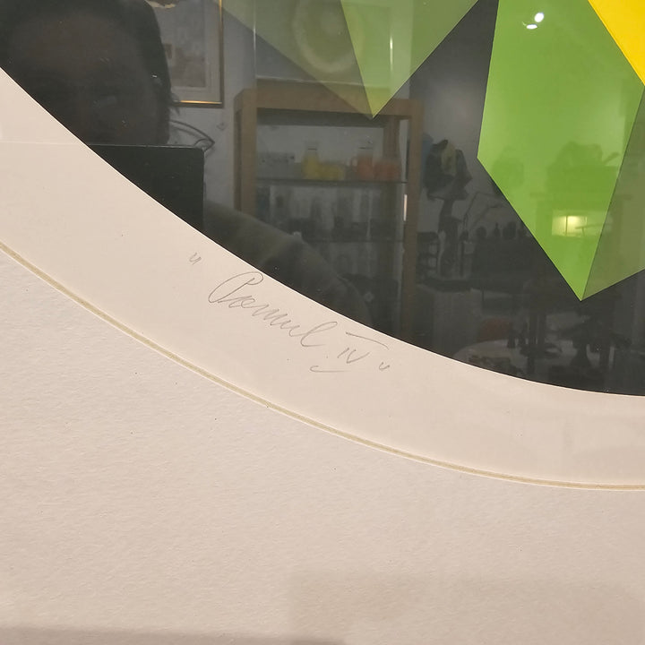 'Pamul IV' by Marko Spalatin