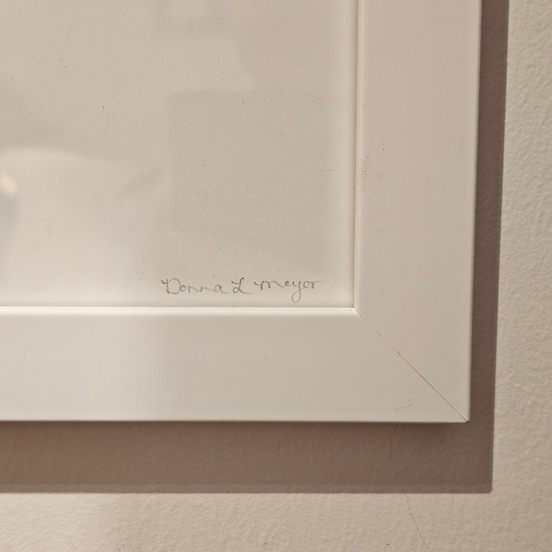 'My Little Comet' by Donna Meyer