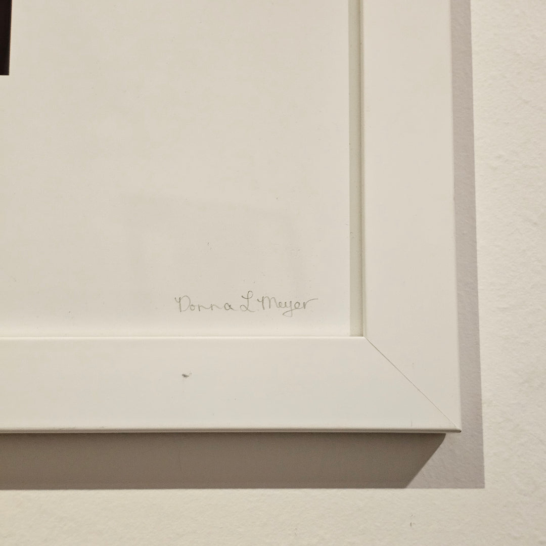 'Fractals in Another Universe' by Donna Meyer