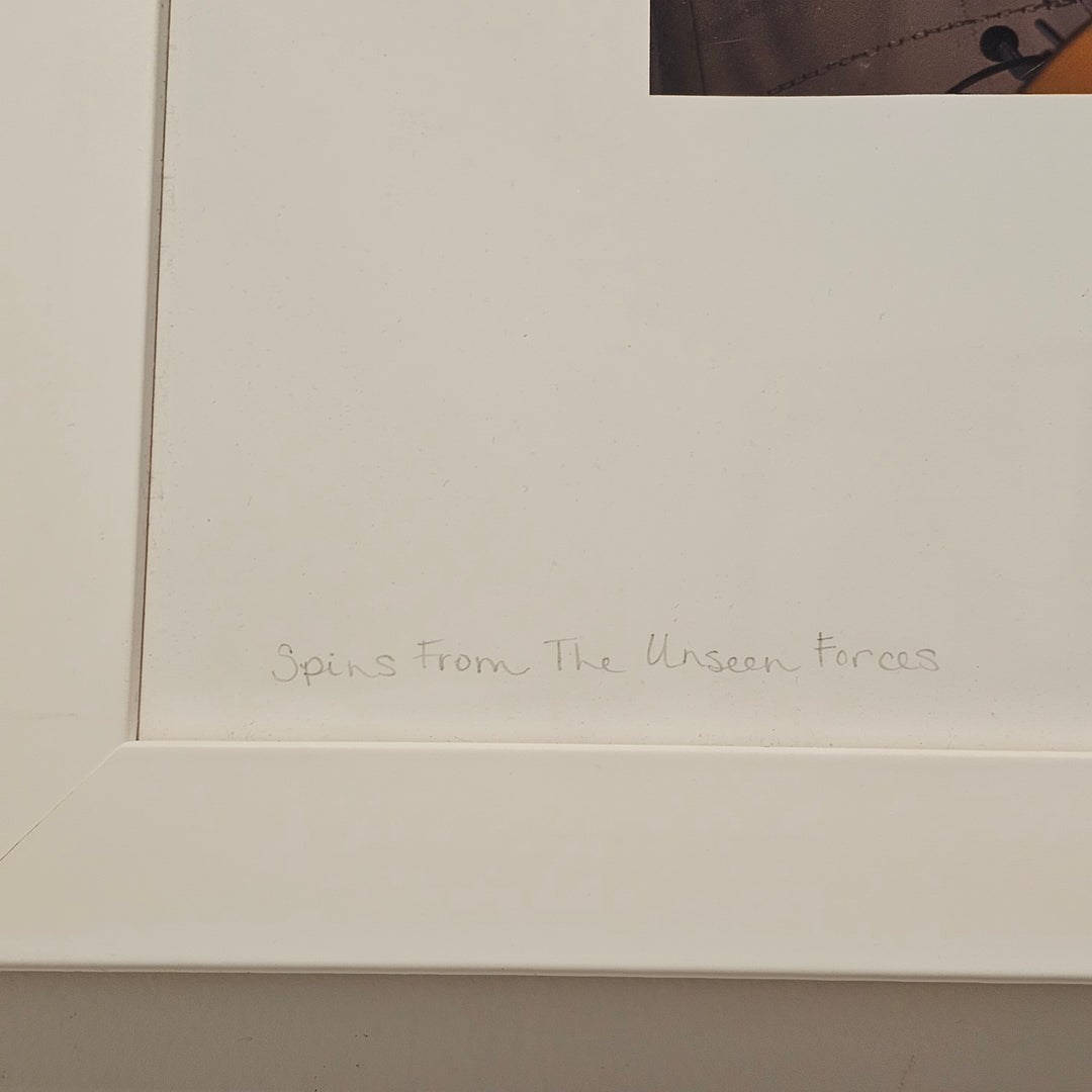 'Fractals in Another Universe' by Donna Meyer